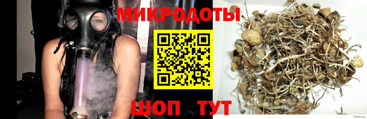 Тара  Псилоцибиновые грибы GOLDEN TEACHER  Вход с VPN 
