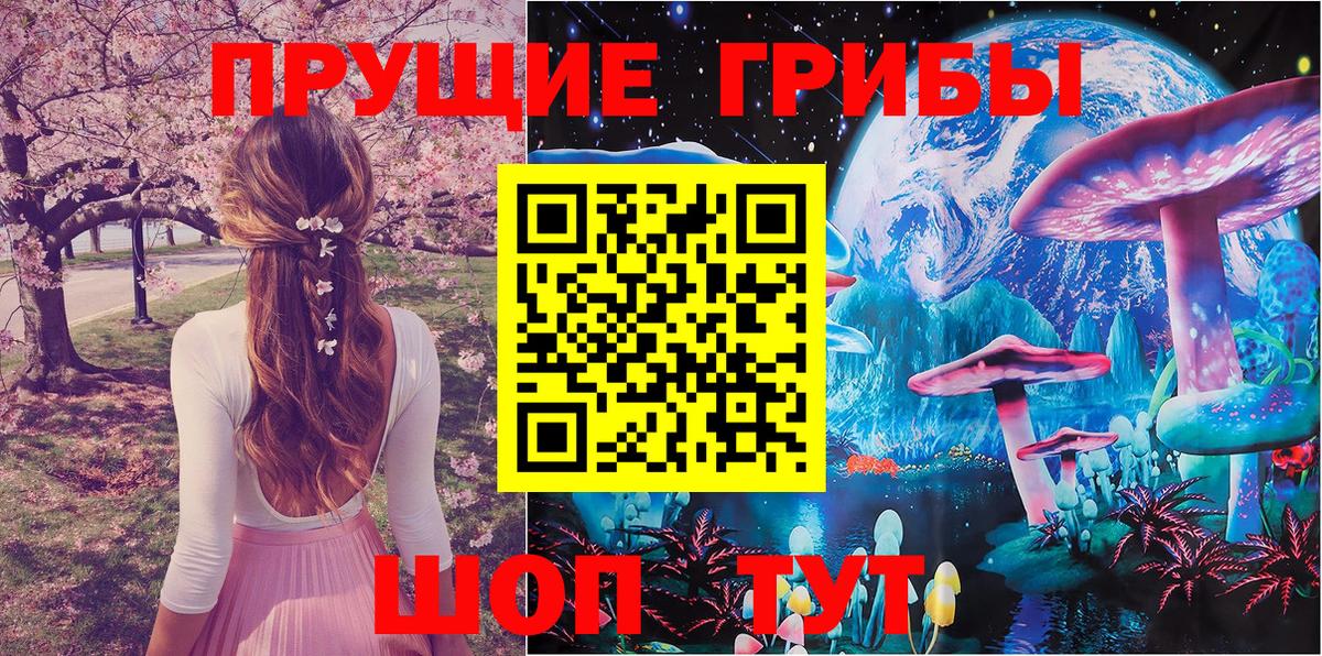 Псилоцибиновые грибы Cubensis Тара